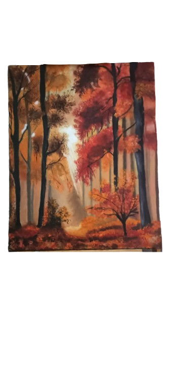 Luz del Bosque Místico